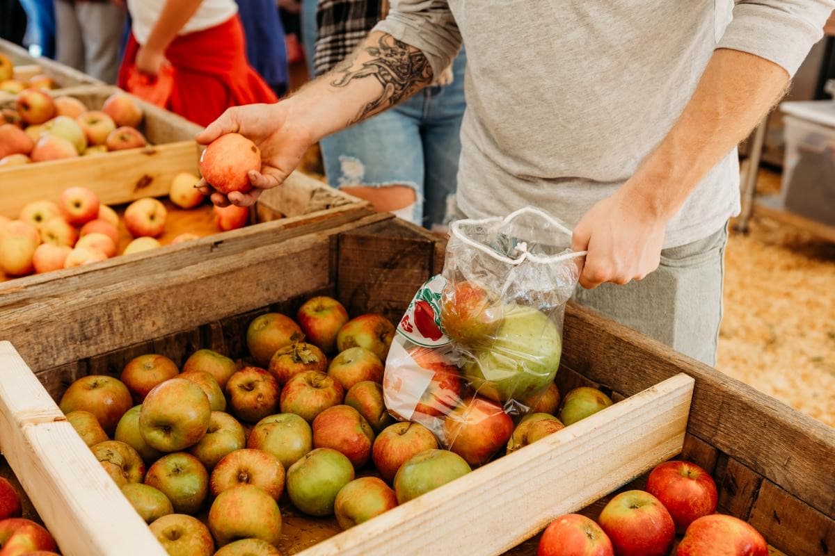 Fresh North Georgia apples in crates at the festival