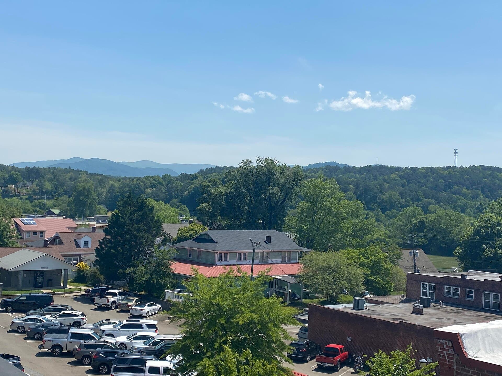When Bears Come to the Square: How Ellijay's Trash Is Feeding a Downtown Problem
