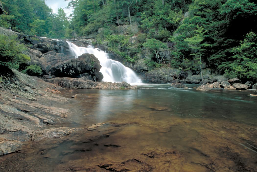 The Cohutta Wilderness: Georgia's Largest Backcountry